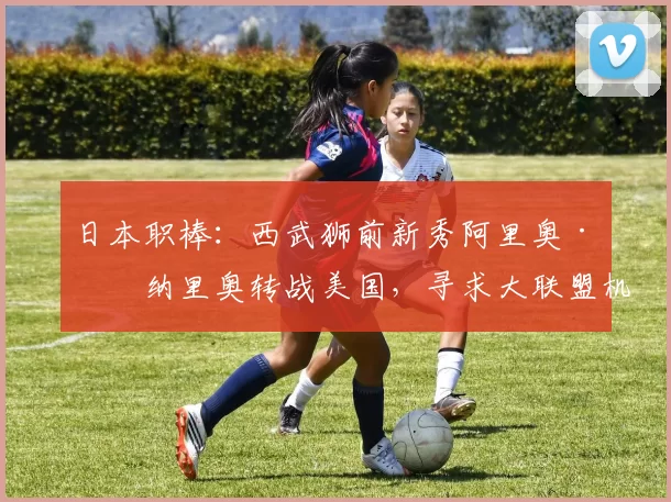 日本职棒：西武狮前新秀阿里奥·卡纳里奥转战美国，寻求大联盟机会