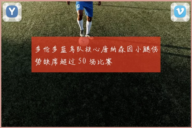 多伦多蓝鸟队核心唐纳森因小腿伤势缺席超过 50 场比赛