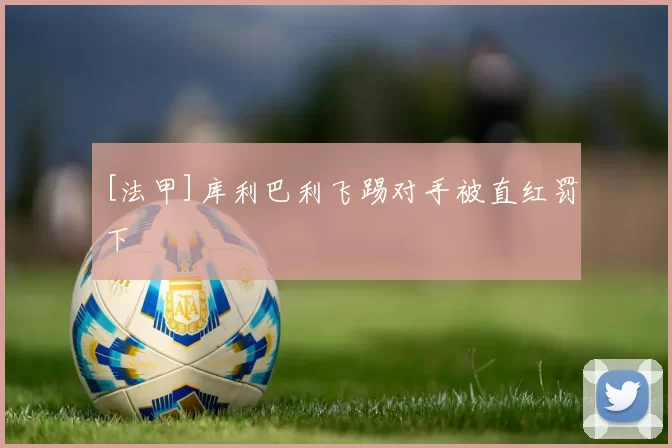 [法甲]库利巴利飞踢对手被直红罚下