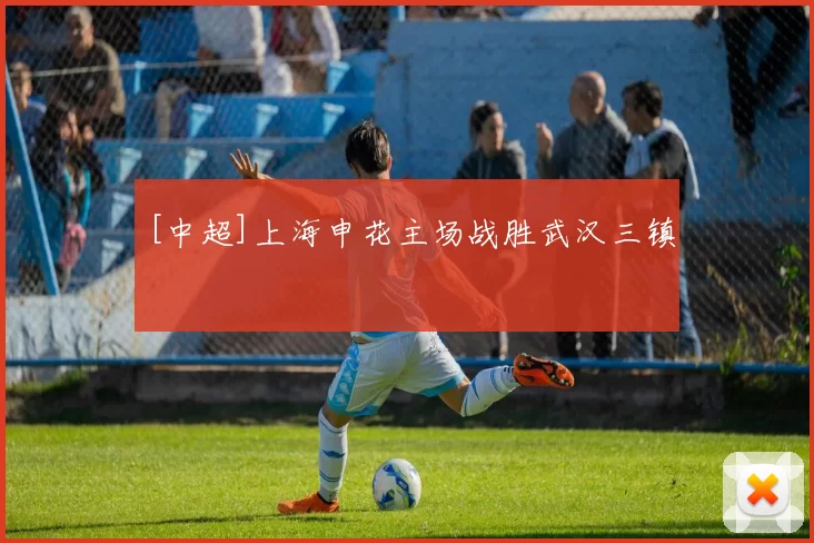 [中超]上海申花主场战胜武汉三镇