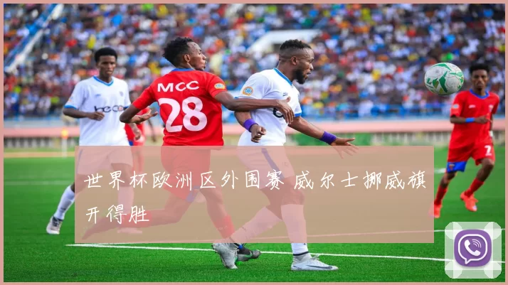 世界杯欧洲区外围赛 威尔士挪威旗开得胜