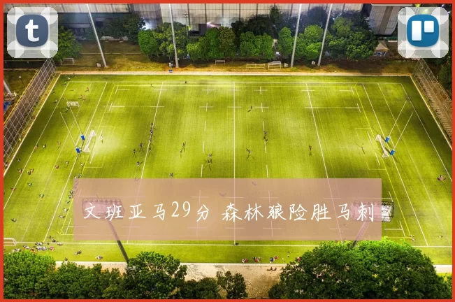 文班亚马29分 森林狼险胜马刺