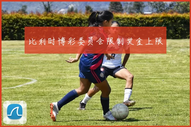 比利时博彩委员会限制奖金上限