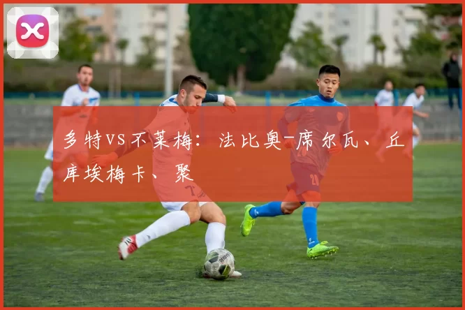 多特vs不莱梅：法比奥-席尔瓦、丘库埃梅卡、聚