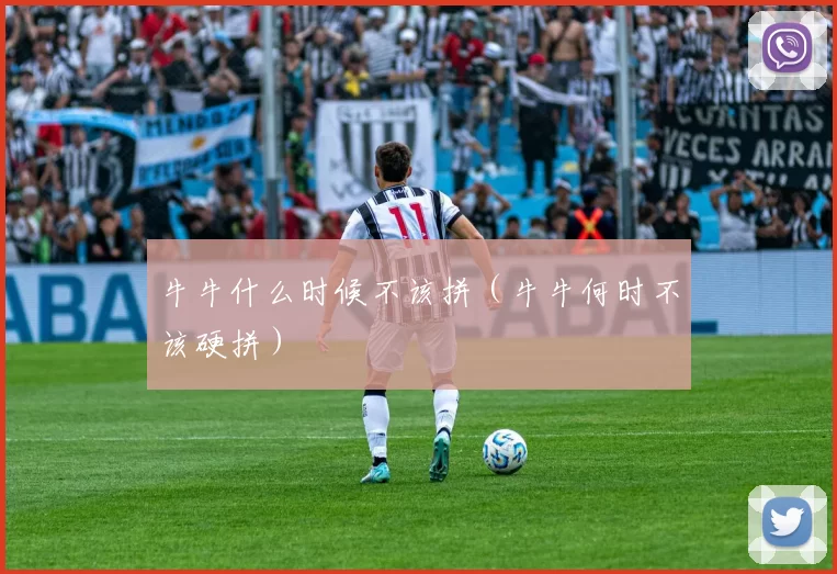 牛牛什么时候不该拼（牛牛何时不该硬拼）