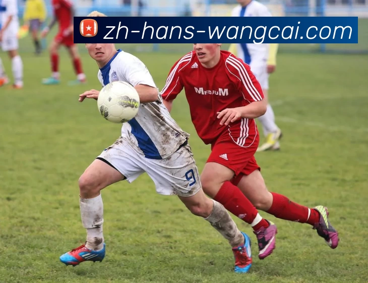 多媒体互动体验